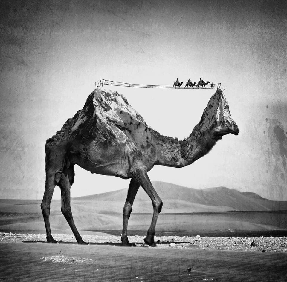 Camel Mountains by @flexfakir — #5 in Edits