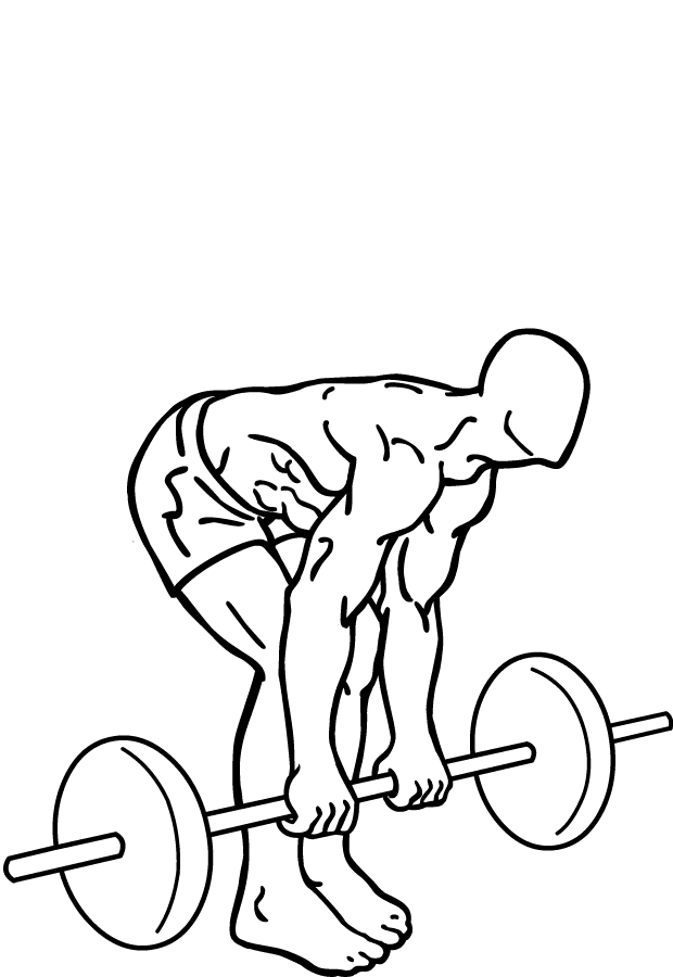 Romanian-deadlift-2 by @toonforger in Gym