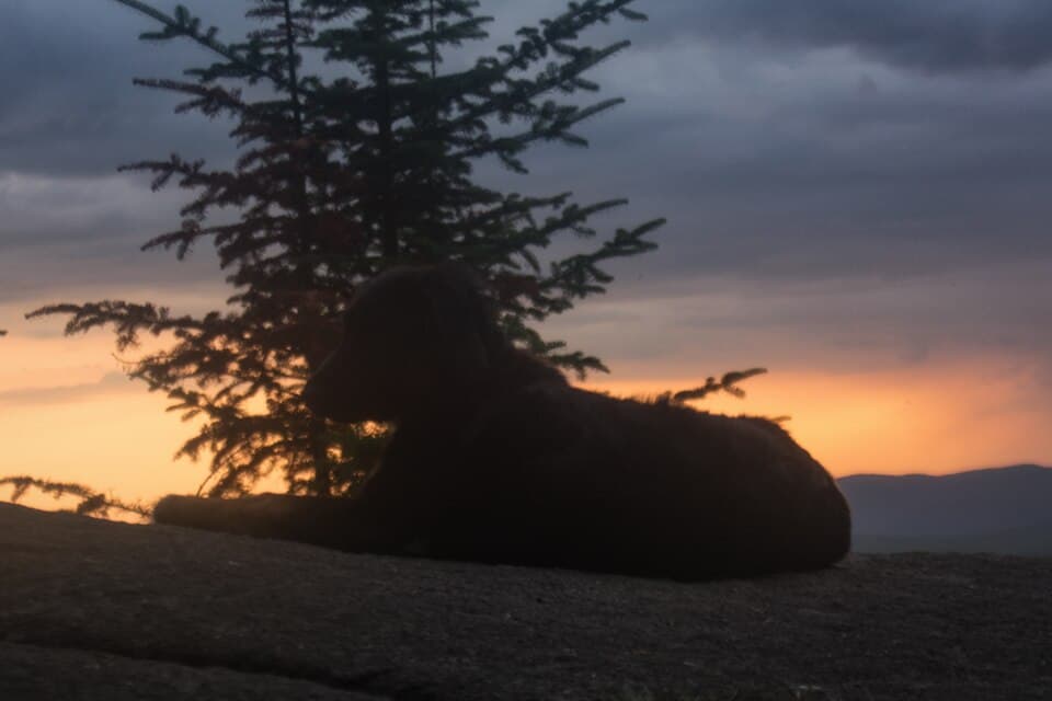 Good Luck Mountain Sunset with Dog by @inkblade in Photography