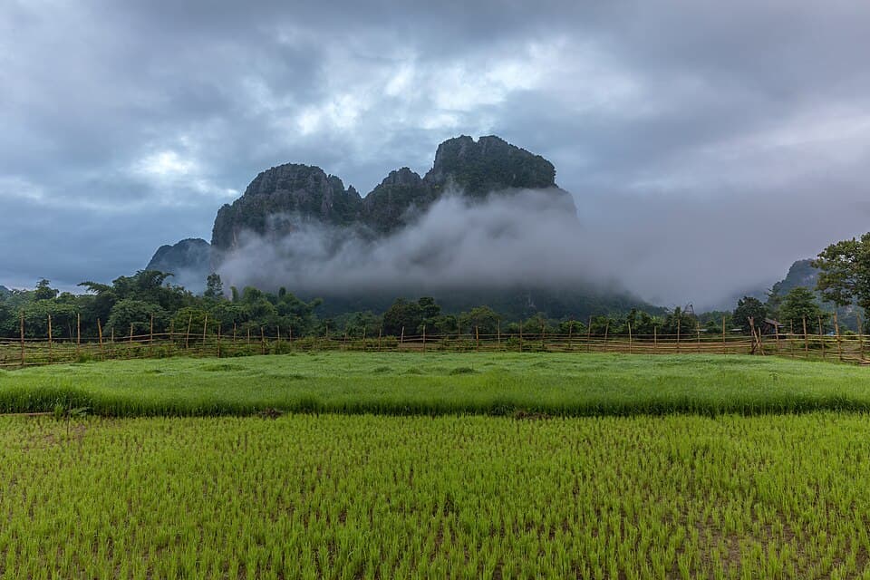 Green paddy fields with fog, mountains and faint clouds at s by @toonforger in Photography